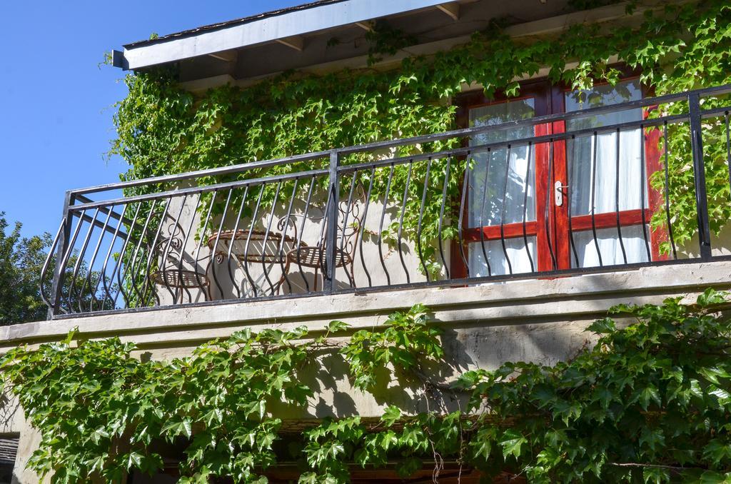 Shepherd'S Corner Guest House جوهانسبورغ المظهر الخارجي الصورة